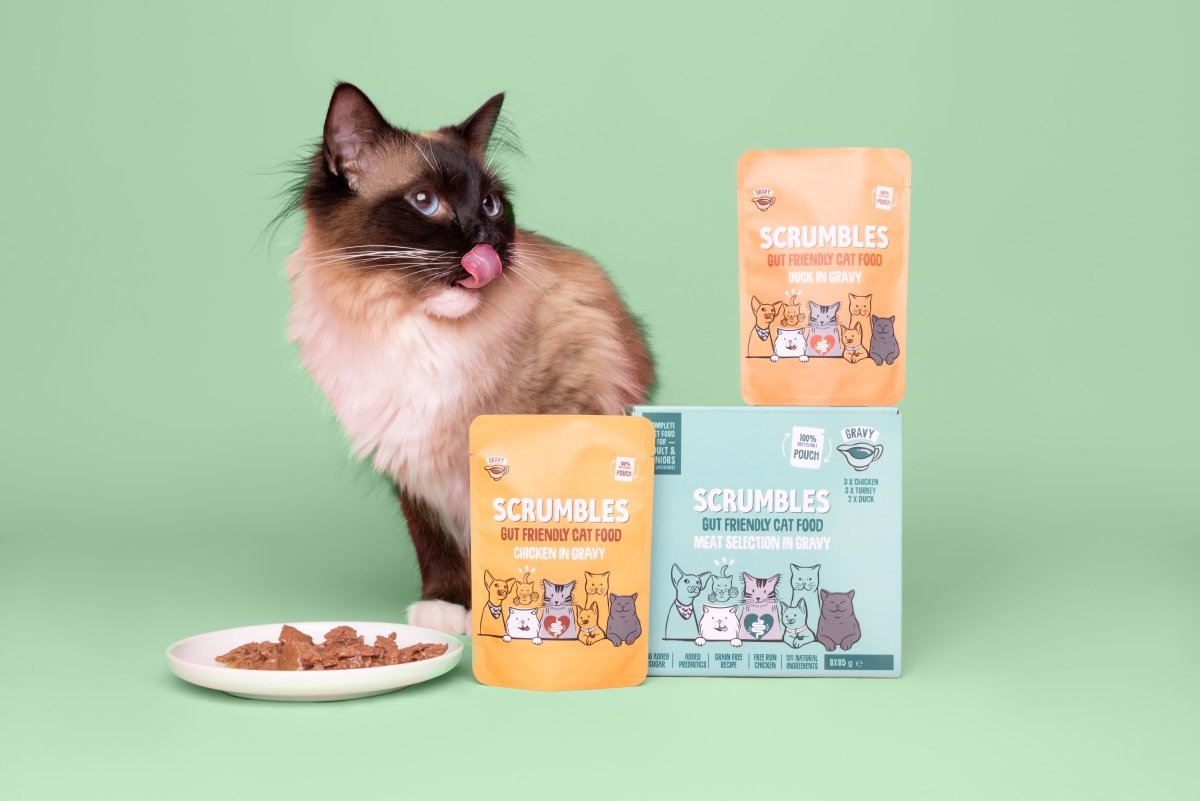 cat food pouches