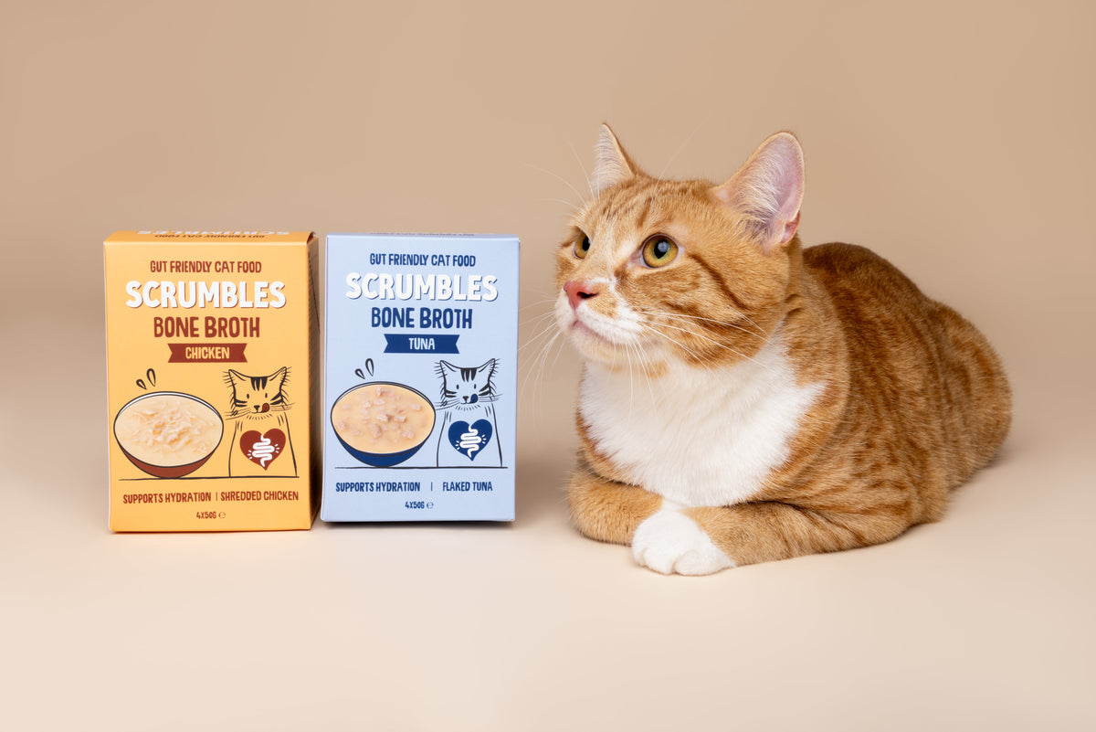Cat Soups
