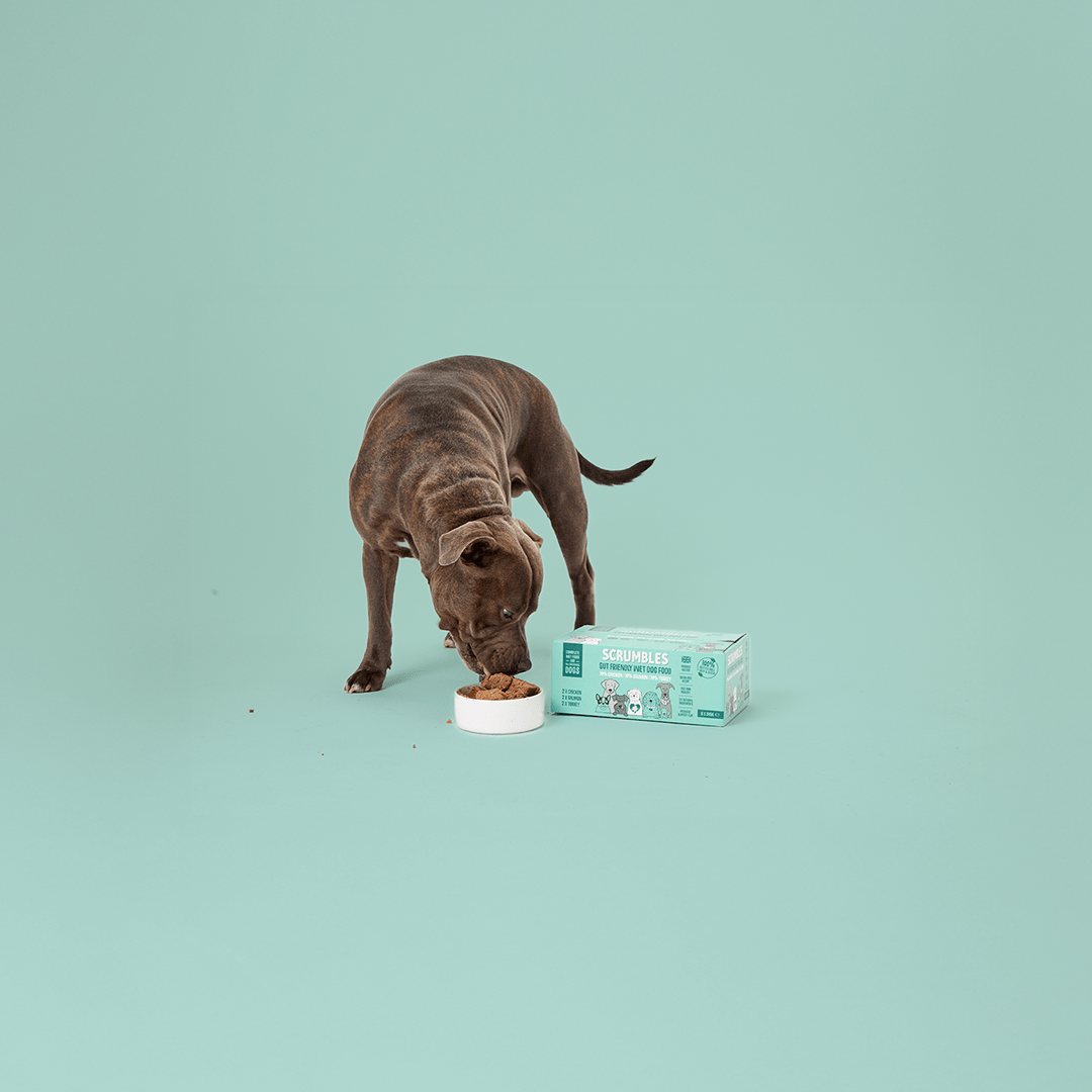 Senior Dog Food - Scrumbles: Natural Pet Food