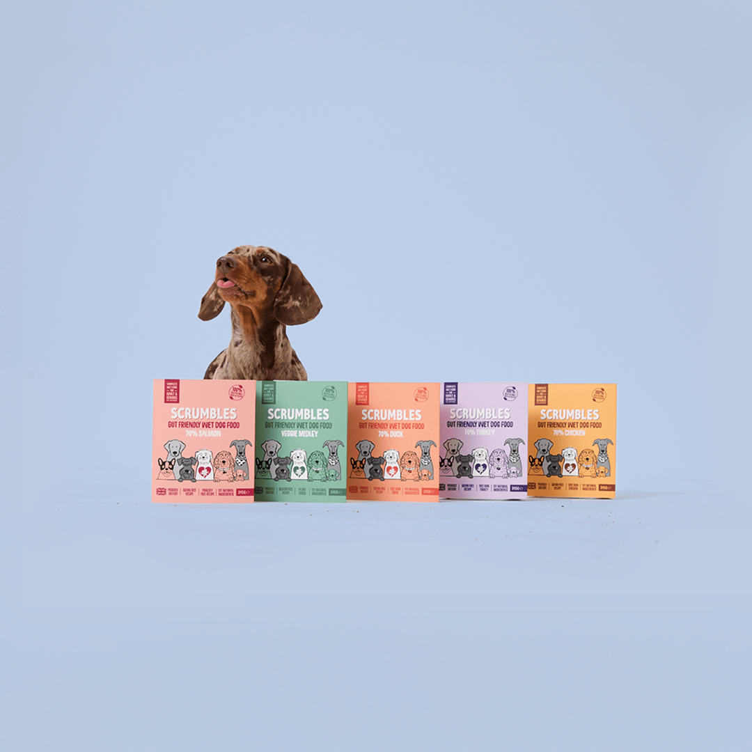 Wet Dog Food - Scrumbles: Natural Pet Food